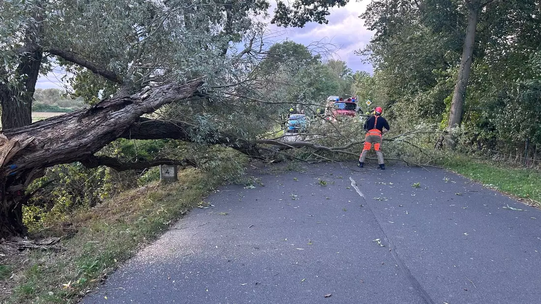 FW Flotwedel: Drei Einsätze fordern die Feuerwehren während der Großübung Eichkater - Bild: presseportal.de