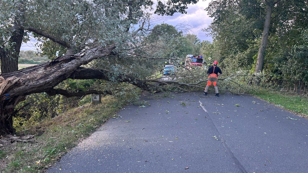FW Flotwedel: Drei Einsätze fordern die Feuerwehren während der Großübung 