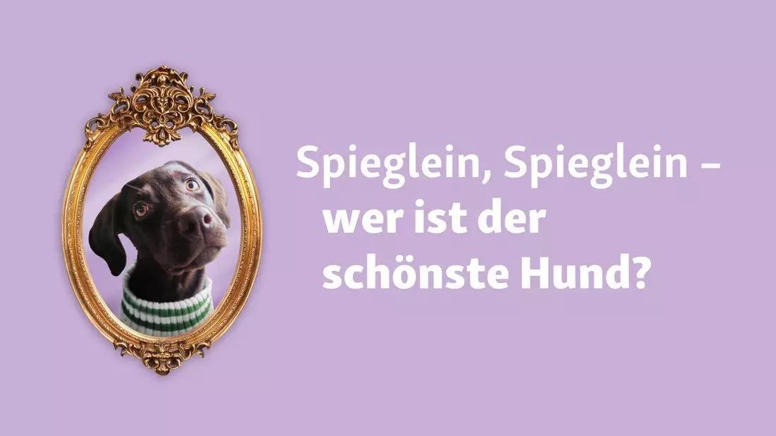 Welthundetag 2024: Fressnapf-Aktion geht in die nächste Runde! - Bild: presseportal.de