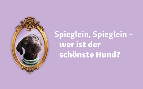 Welthundetag 2024: Fressnapf-Aktion geht in die nächste Runde! - Foto: presseportal.de