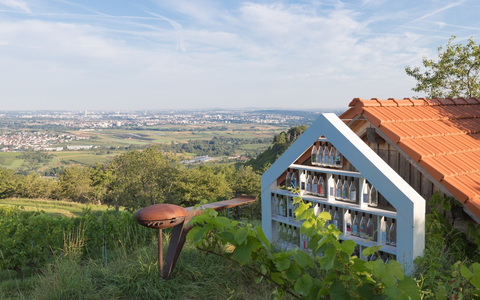 Baukunst trifft auf Weinkultur - Foto: presseportal.de