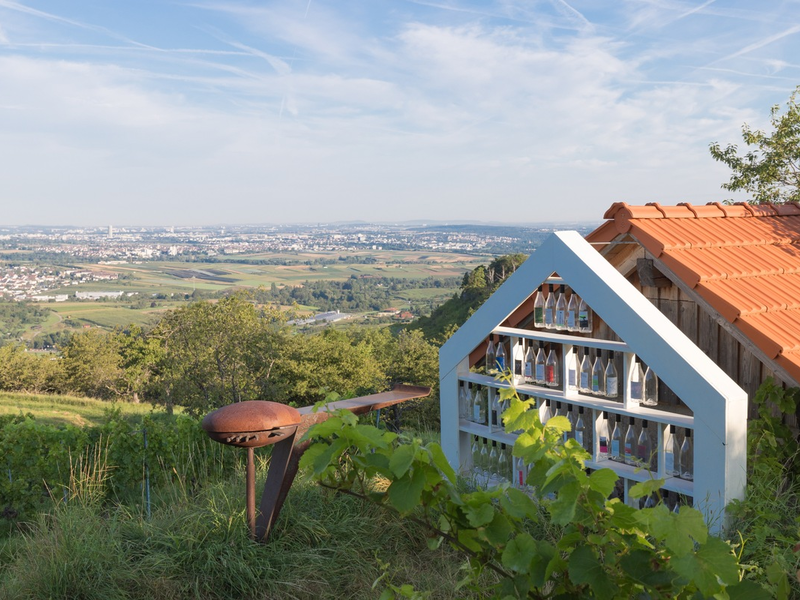 Baukunst trifft auf Weinkultur - Foto: presseportal.de