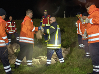 FW Lüchow-Dannenberg: Großübung in Lüchow-Dannenberg - Feuerwehren, DRK und THW üben gemeinsam mehrere Szenarien - Foto: presseportal.de