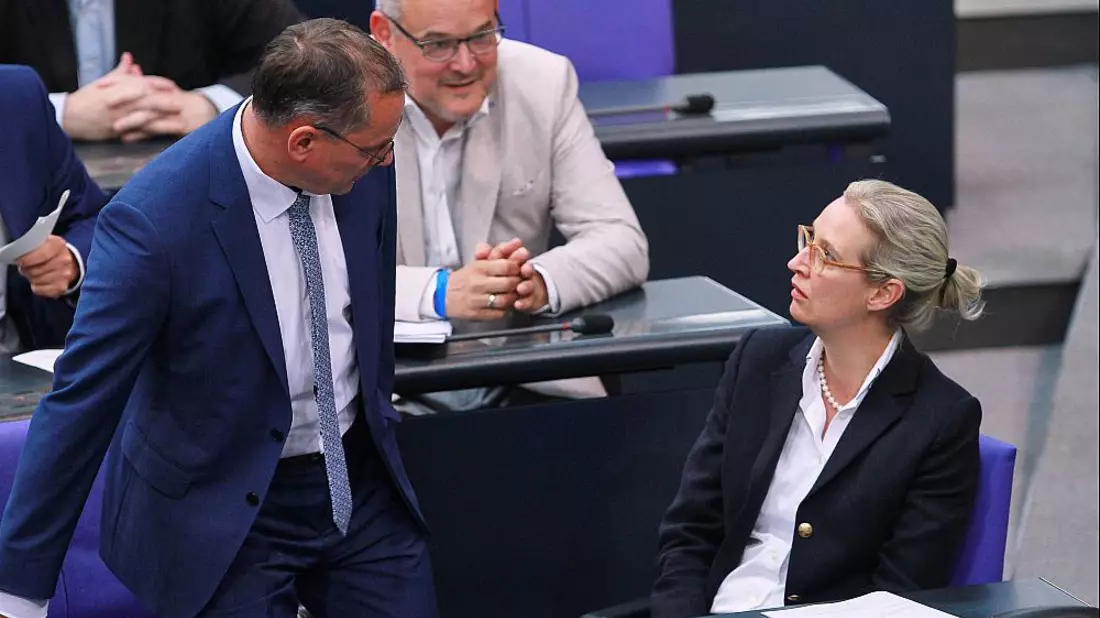 AfD-Abgeordnete Chrupalla, Reichardt, Weidel (Archiv) - Bild: über dts Nachrichtenagentur