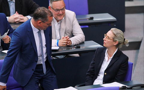 AfD-Abgeordnete Chrupalla, Reichardt, Weidel (Archiv) - Foto: über dts Nachrichtenagentur