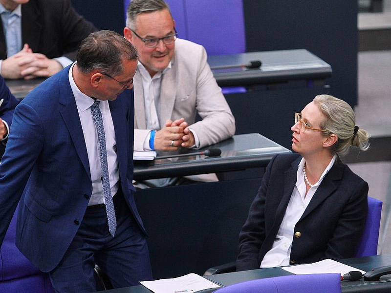 AfD-Abgeordnete Chrupalla, Reichardt, Weidel (Archiv) - Foto: über dts Nachrichtenagentur