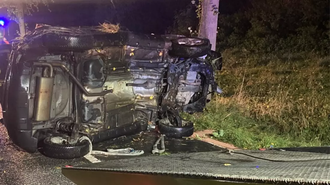 POL-HI: Schwerer Baumunfall fordert eine verletzte Person - Bild: presseportal.de