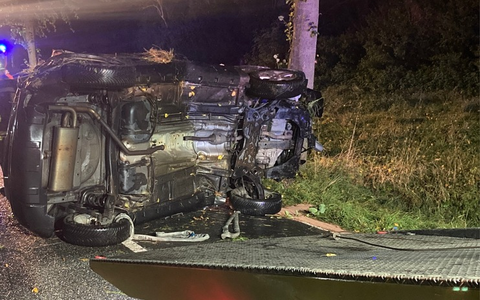 POL-HI: Schwerer Baumunfall fordert eine verletzte Person - Foto: presseportal.de