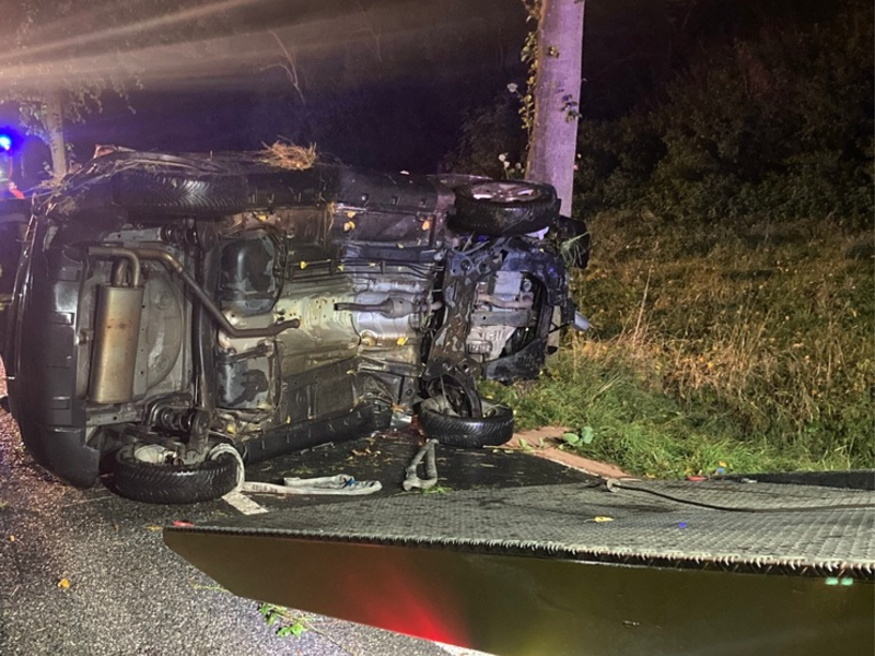 POL-HI: Schwerer Baumunfall fordert eine verletzte Person - Foto: presseportal.de