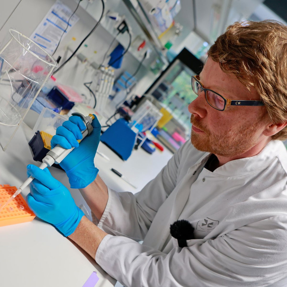 Analysiert wurde das Blut von Forschern der Universität Göttingen.  - Foto: Matthias Bein/dpa