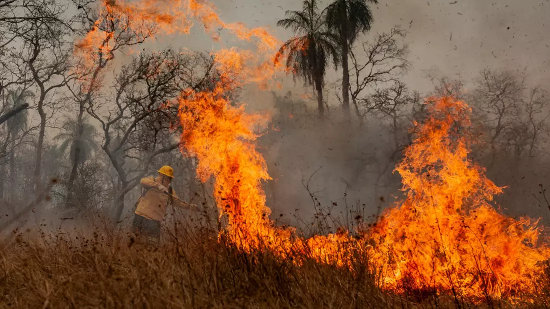 Flammen fressen sich durch die trockene Landschaft. - Bild: Diego Cardoso/dpa