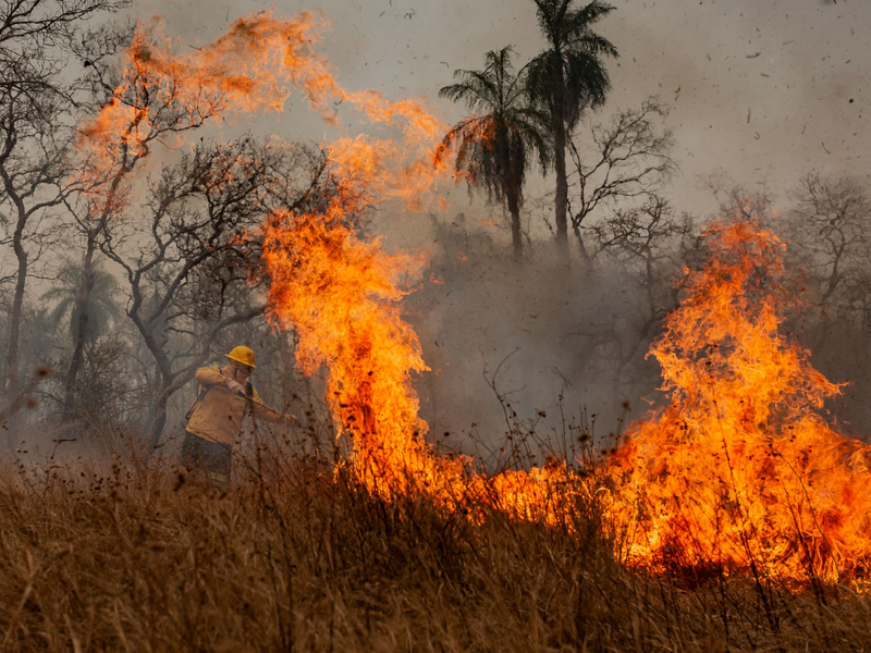 Flammen fressen sich durch die trockene Landschaft. - Foto: Diego Cardoso/dpa