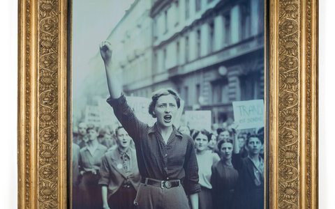 Studio Supplement - Foto: Marlene Fröhlich über pressetext.de