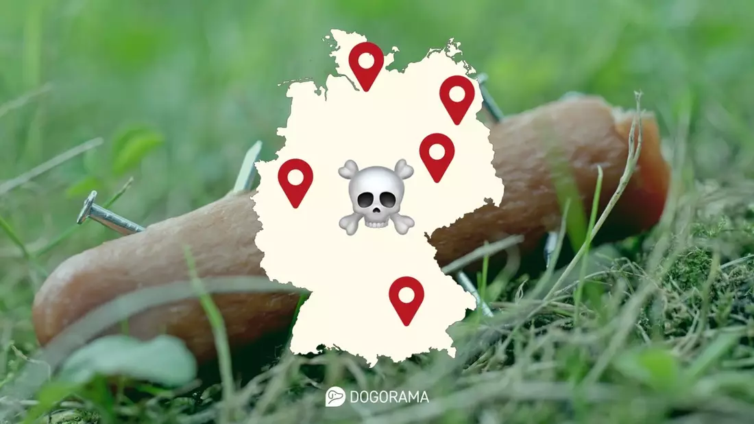 Die gefährlichste Stadt für Hunde im Jahr 2024 / Dogorama veröffentlicht aktuelle Giftköder-Zahlen - Bild: presseportal.de