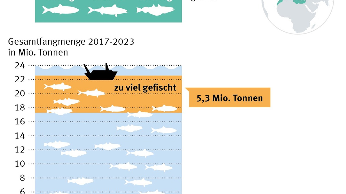 Neue Daten offenbaren starken Rückgang der Herings- und Makrelenbestände im Nordostatlantik - Foto: presseportal.de