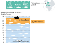 Neue Daten offenbaren starken Rückgang der Herings- und Makrelenbestände im Nordostatlantik - Foto: presseportal.de