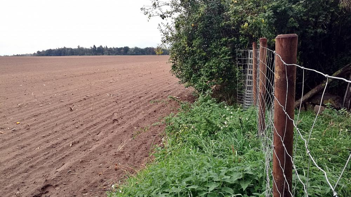 Wildzaun (Archiv) - Foto: über dts Nachrichtenagentur