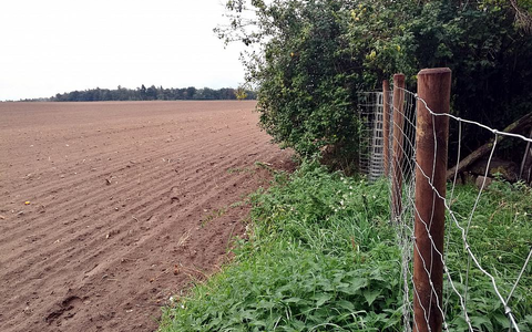 Wildzaun (Archiv) - Foto: über dts Nachrichtenagentur