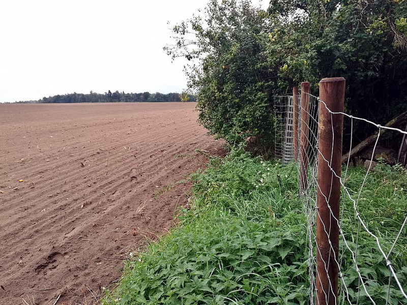 Wildzaun (Archiv) - Foto: über dts Nachrichtenagentur