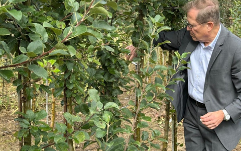 MdB Rainer Semet absolviert Praktikum in Baumschule - Foto: presseportal.de