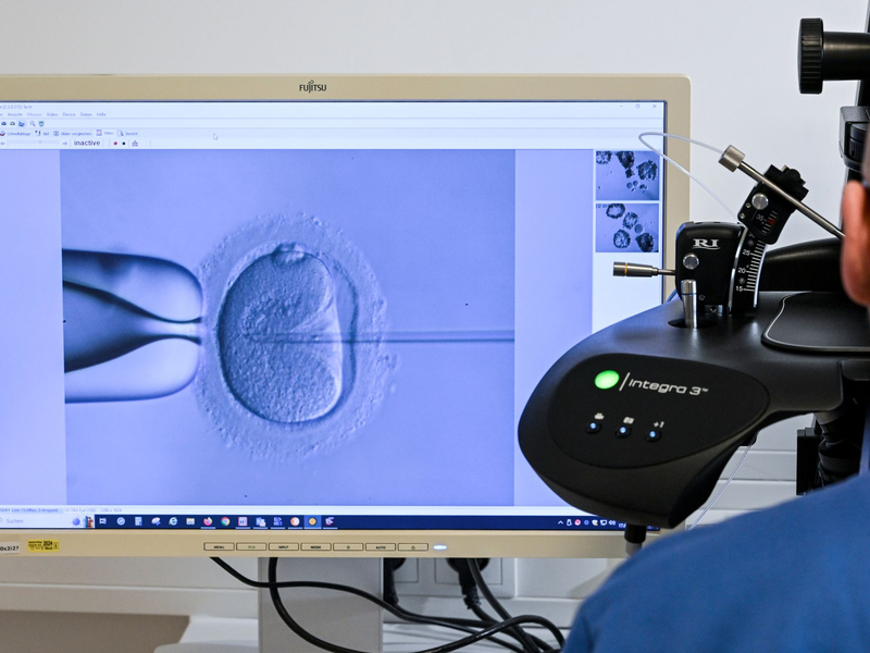 Ein Zweizeller nach einer künstlichen Befruchtung. Entwickelt er sich gut, kann er in die Gebärmutter transferiert werden. - Foto: Jens Kalaene/dpa