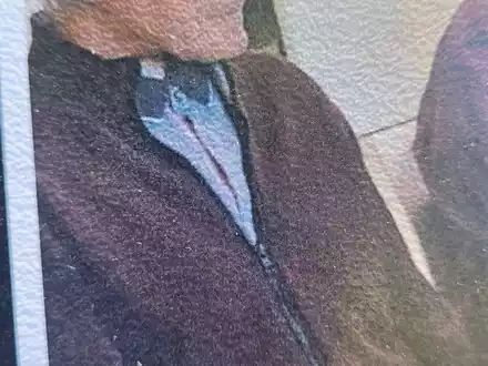POL-HL: POL-HL, OH / 84-jähriger in Wangels vermisst - Polizei bittet um Mithilfe bei der Suche - Foto: presseportal.de