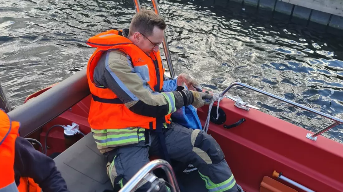 FW Bocholt: Schwan aus misslicher Lage am Aasee befreit - Bild: presseportal.de