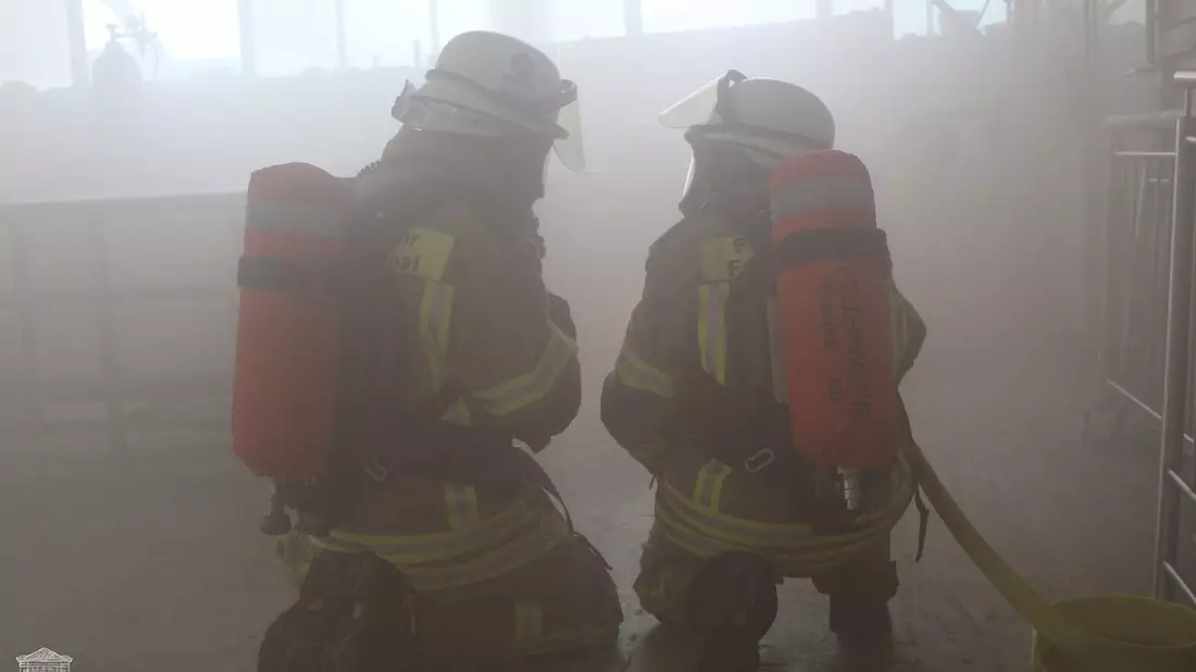 FW Frankenthal: Mehrere Leichtverletzte nach Gebäudebrand - Bild: presseportal.de