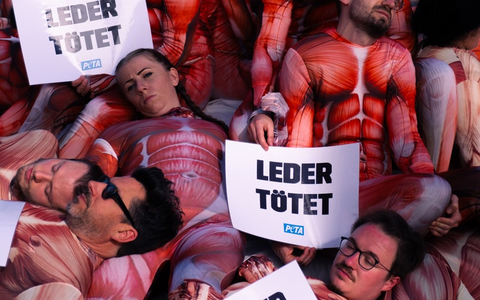 Aktuelles Bildmaterial von PETA-Großdemonstration in Köln: Mit Berg aus gehäuteten Menschen protestierten Tierschützer gegen millionenfaches Töten von Tieren für Lederprodukte - Foto: presseportal.de Aktuelles Bildmaterial von PETA-Großdemonstration in Köln: Mit Berg aus gehäuteten Menschen protestierten Tierschützer gegen millionenfaches Töten von Tieren für Lederprodukte - Foto: presseportal.de