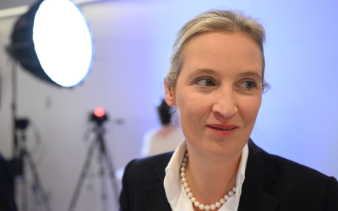 Sie dürfte auch als Kanzlerkandidatin in die Bundestagswahl gehen: Alice Weidel. (Archivbild) - Foto: Bernd von Jutrczenka/dpa