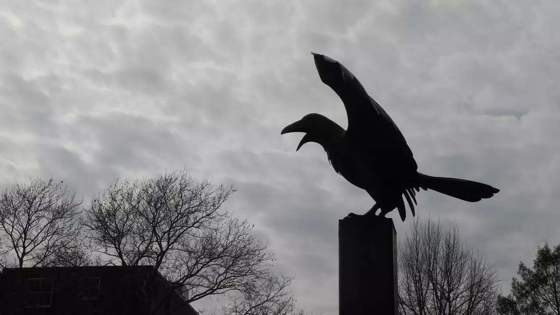 Die Statue eines Raben erinnert vor dem früheren Wohnhaus des Schriftstellers Edgar Allan Poe in Philadelphia (USA) an dessen berühmtestes Gedicht Der Rabe. - Bild: picture alliance / Johannes Schmitt-Tegge/dpa