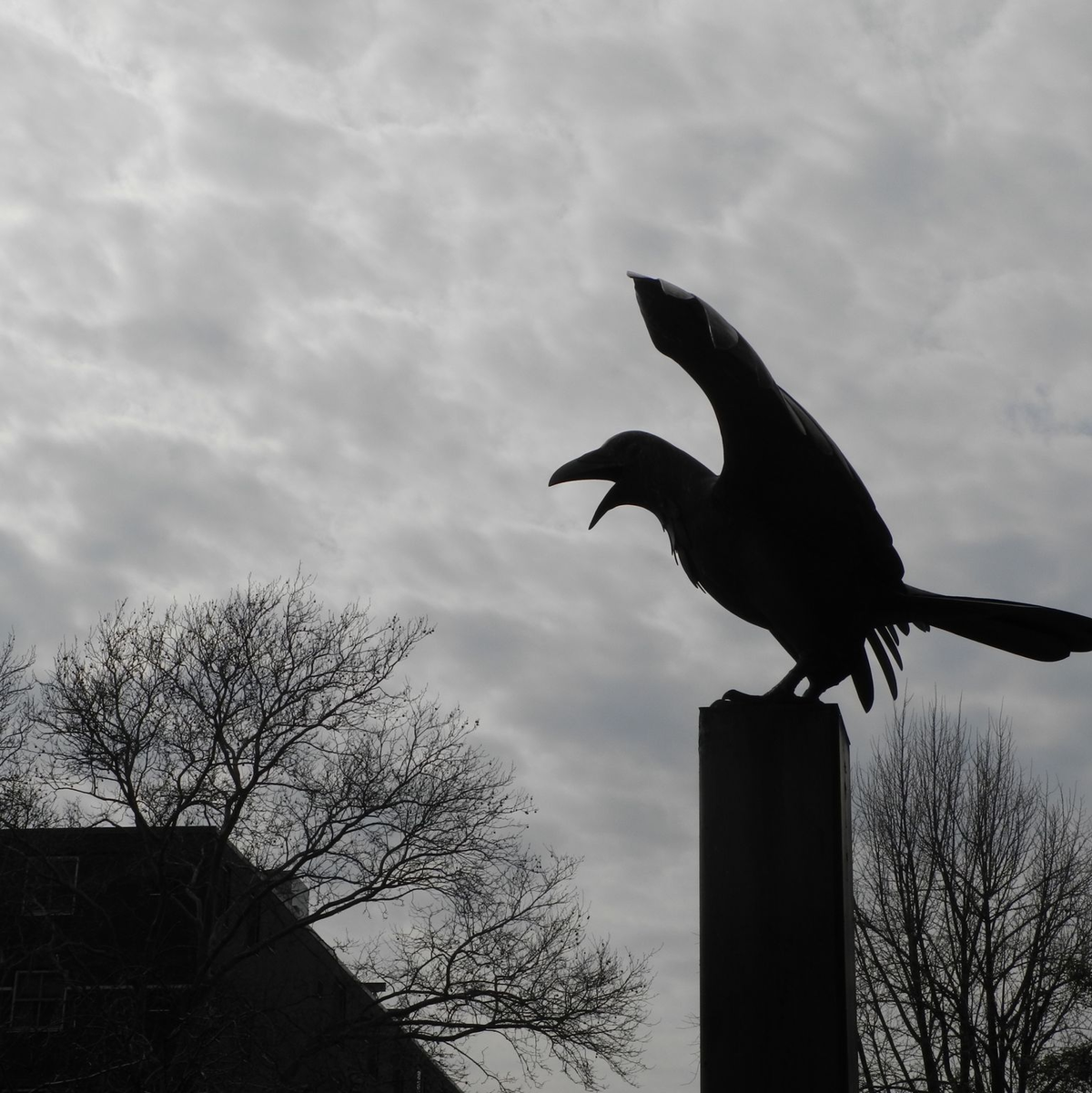 Die Statue eines Raben erinnert vor dem früheren Wohnhaus des Schriftstellers Edgar Allan Poe in Philadelphia (USA) an dessen berühmtestes Gedicht 