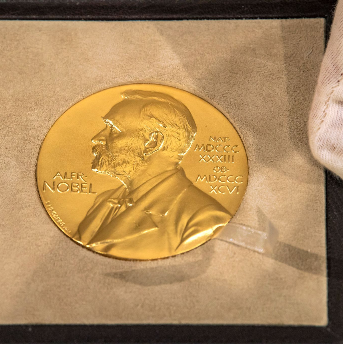 Wer erhält diese schöne Medaille in diesem Jahr in der Kategorie Medizin? - Foto: Peter Kneffel/dpa/Pool/dpa