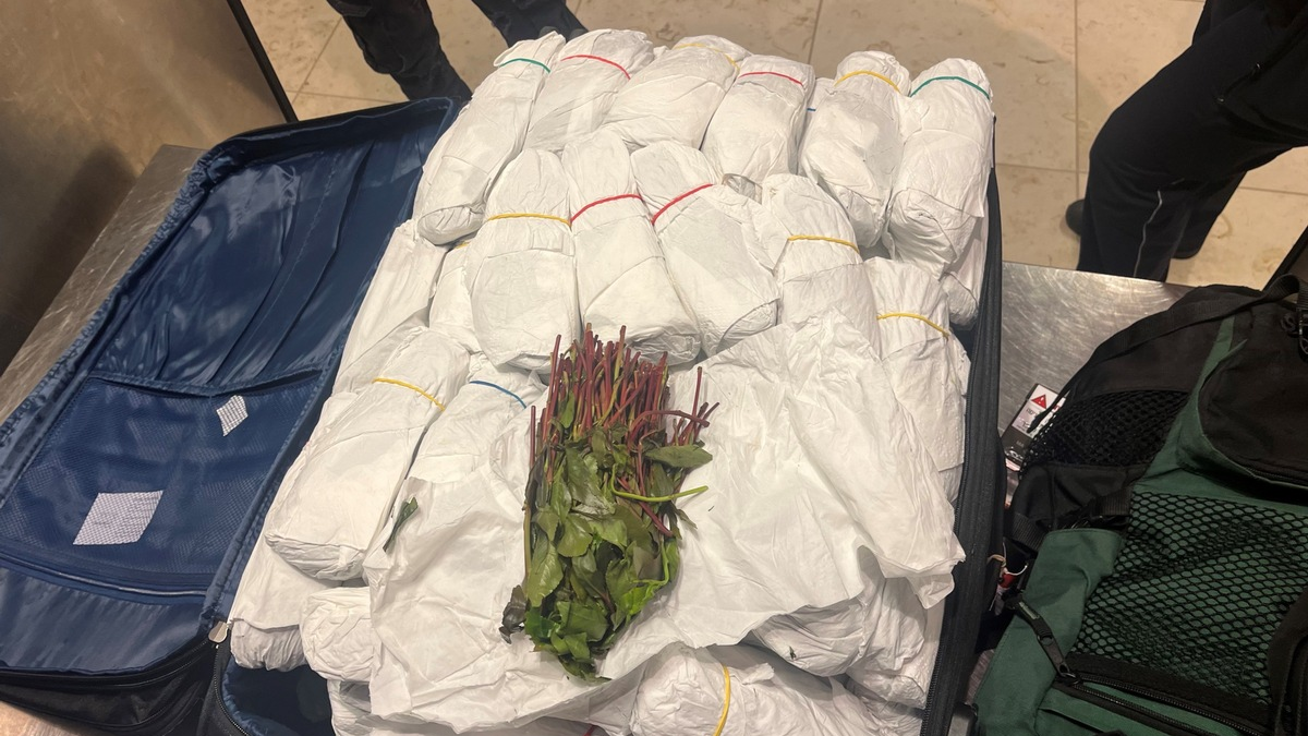 HZA-P: Zoll stoppt am Flughafen Berlin Brandenburg Reisenden mit 31 Kilogramm Kath im Gepäck / Wegen mangelnder Einreisevoraussetzungen der Bundespolizei übergeben - Foto: presseportal.de