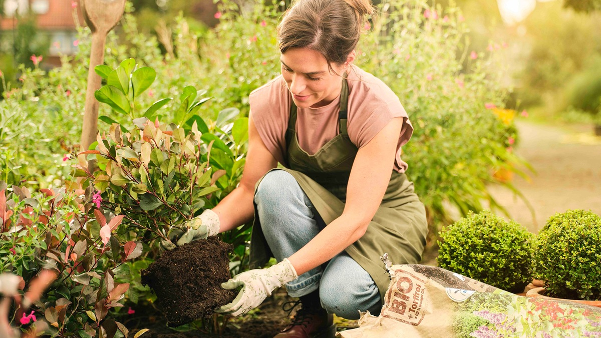 Gärtnern im Herbst: Mit torffreier Erde Klimaschutz pflanzen - Foto: presseportal.de
