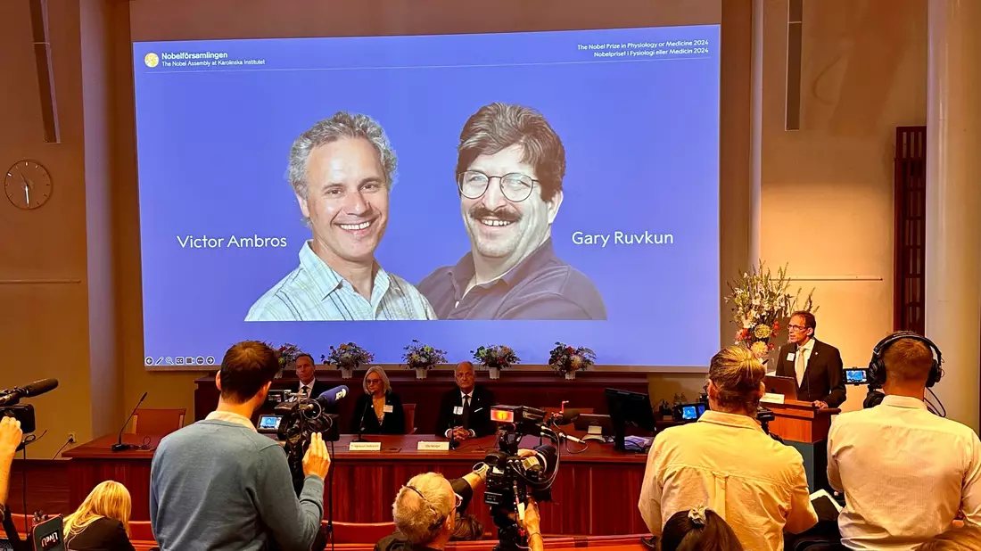 Der Nobelpreis für Medizin geht in diesem Jahr Victor Ambros  (li) und Gary Ruvkun für die Entdeckung der microRNA und ihrer Rolle bei der Genregulierung. - Bild: Steffen Trumpf/dpa