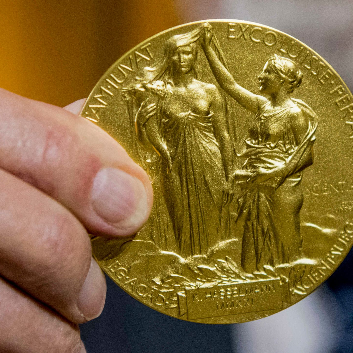 Die Rückseite der Nobel-Medaille für Physik stellt die Natur in Form einer Göttin dar, die ein Füllhorn hält. Der Schleier, der ihr Gesicht bedeckt, wird vom Genie der Wissenschaft hochgehalten. (Archivbild) - Foto: Stefanie Loos/AP-Pool/dpa