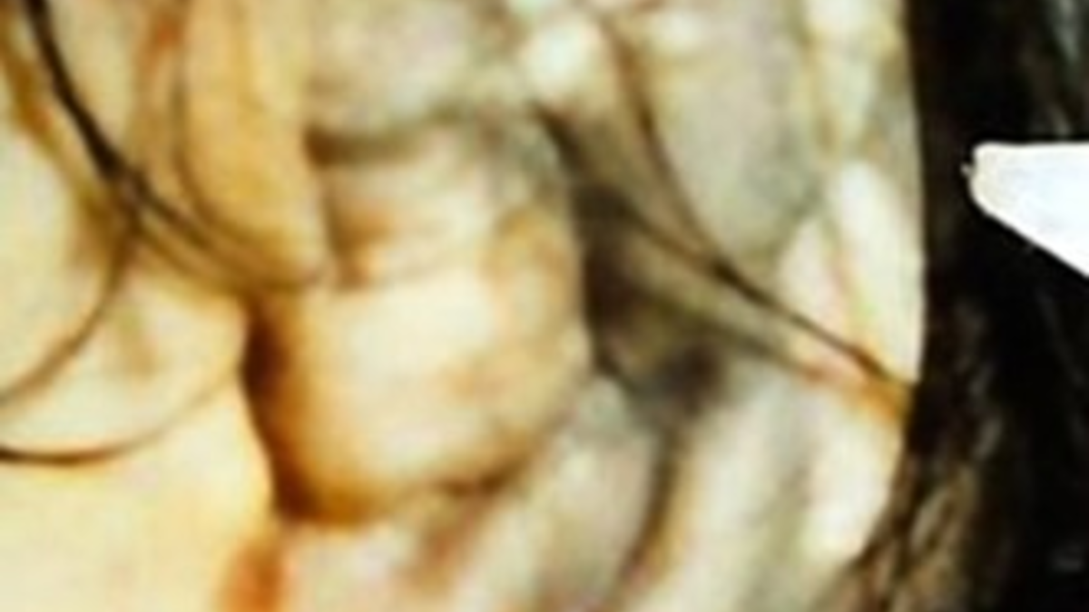 LKA-HE: Mord verjährt nicht: Hessische Ermittlerinnen und Ermittler suchen 23 Jahre nach dem Fund einer jungen Frauenleiche nach Hinweisen // Mädchen aus dem Main // Internationale Kampagne #IdentifyMe - Foto: presseportal.de