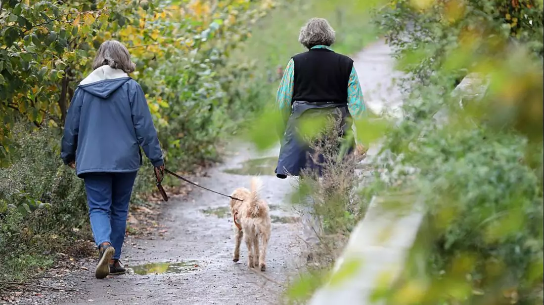Zwei Frauen gehen mit einem Hund Gassi (Archiv) - Bild: über dts Nachrichtenagentur