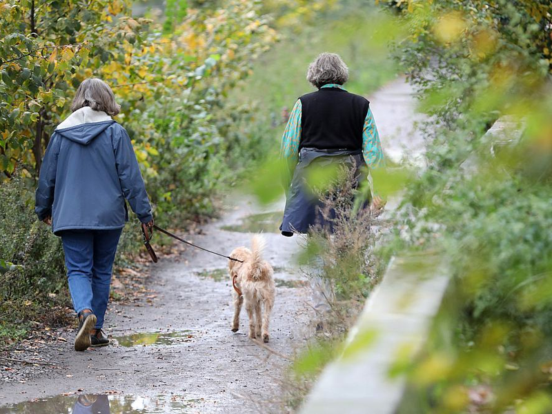 Zwei Frauen gehen mit einem Hund Gassi (Archiv) - Foto: über dts Nachrichtenagentur