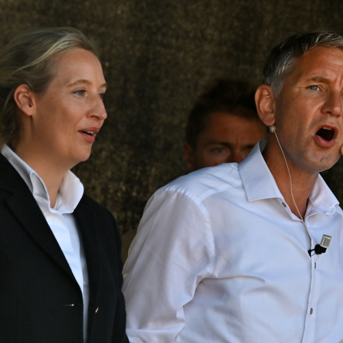 Früher ging Alice Weidel auf Distanz zum Thüringer AfD-Landesvorsitzenden, Björn Höcke, der zu den wichtigsten Vertretern der Rechtsaußen-Strömung der Partei zählt – inzwischen treten beide gemeinsam im Wahlkampf auf. (Archivbild) - Foto: Martin Schutt/dpa
