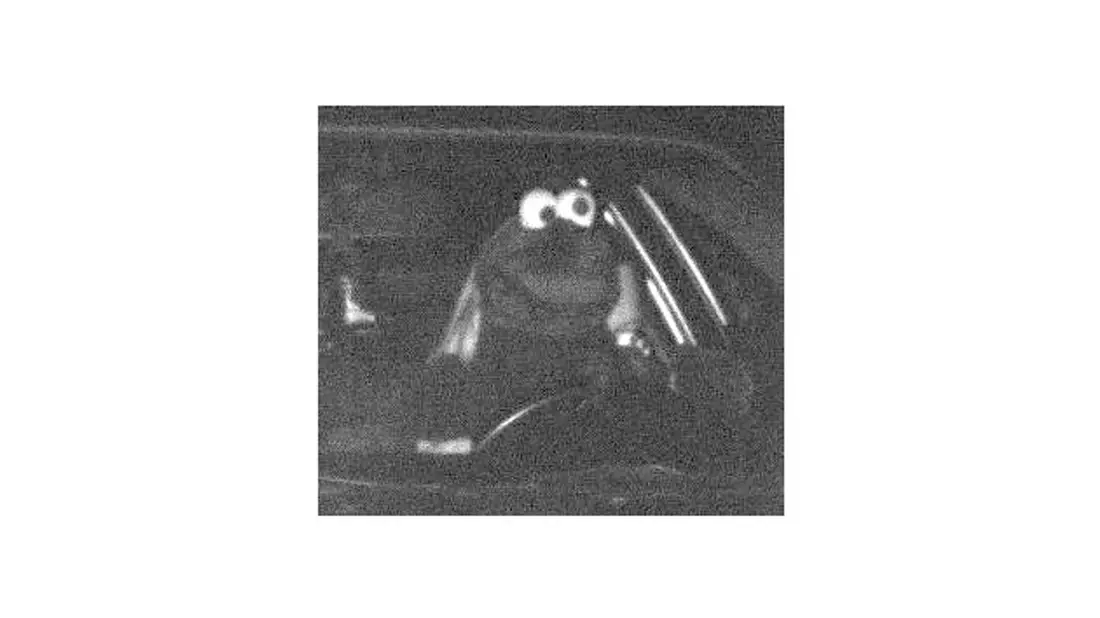 Lustiges Blitzerfoto: Ein Autofahrer war im Kostüm wie aus der Muppetshow zu schnell unterwegs. - Bild: Polizei Dortmund