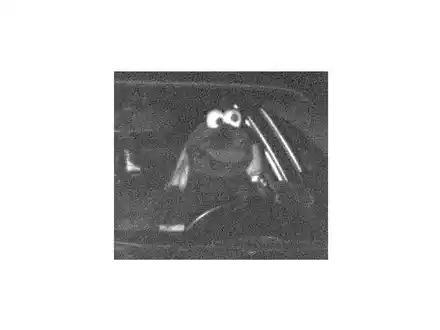 Das Bußgeld für das geblitzte «Krümelmonster» wurde bezahlt. (Archivbild) - Foto: Polizei Dortmund