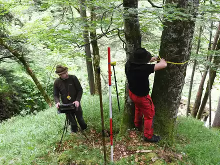 Für den Bericht wird eine Stichprobe des Waldes untersucht. - Foto: Angelika Warmuth/dpa