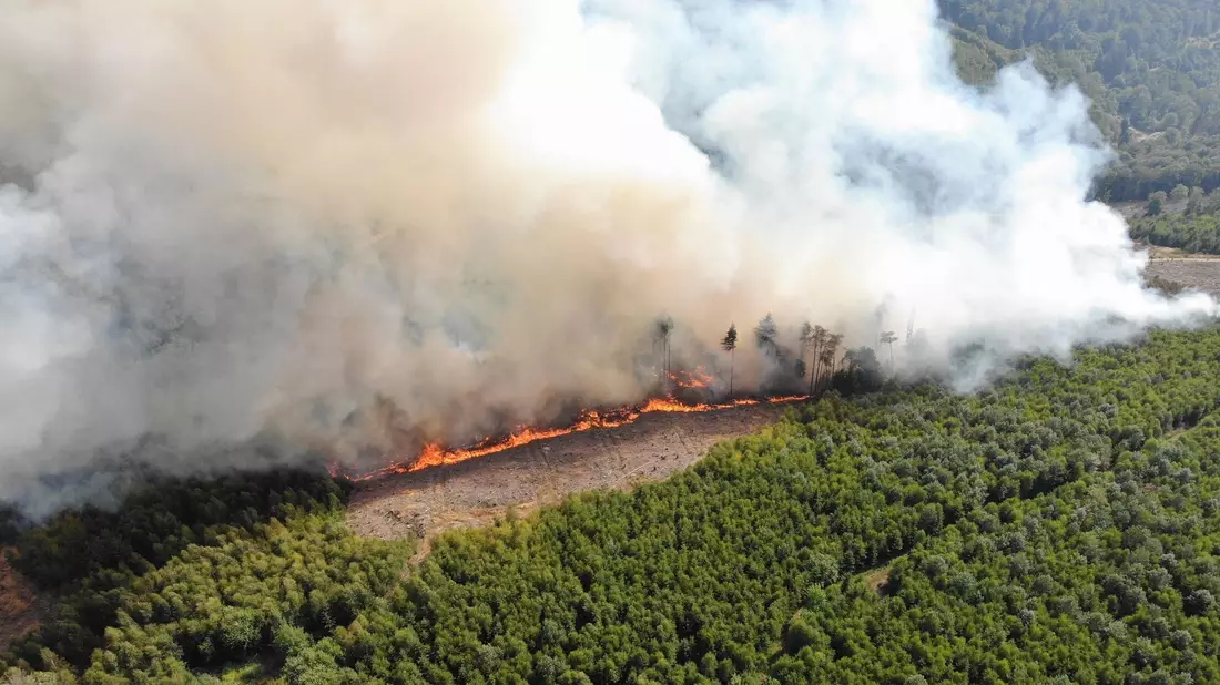 Der weltweite Verlust durch Waldbrände lag mit 11,9 Millionen Hektar 2023 ebenfalls auf Rekordniveau. (Archivbild) - Bild: Michael Kling/Märkischer Kreis/dpa