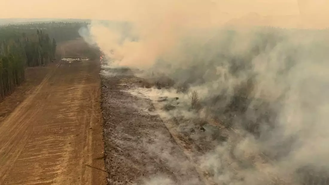 Der weltweite Verlust durch Waldbrände lag mit 11,9 Millionen Hektar 2023 ebenfalls auf Rekordniveau. (Archivbild) - Bild: Gov. of Alberta Fire Service/The Canadian Press via AP/dpa