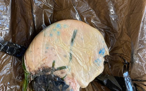 POL-HR: Schwalmstadt - Unbekannte legen Giftköder im Garten aus - Hund zeigt Vergiftungsanzeichen - Foto: presseportal.de POL-HR: Schwalmstadt - Unbekannte legen Giftköder im Garten aus - Hund zeigt Vergiftungsanzeichen - Foto: presseportal.de