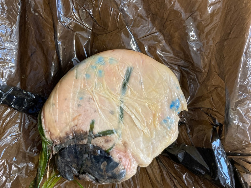 POL-HR: Schwalmstadt - Unbekannte legen Giftköder im Garten aus - Hund zeigt Vergiftungsanzeichen - Foto: presseportal.de