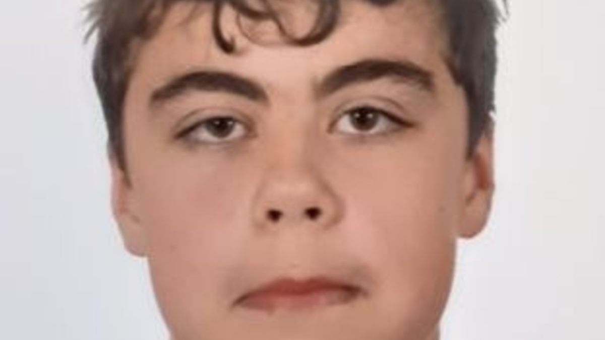 POL-SE: Traventhal - Öffentlichkeitsfahndung nach vermisstem Jugendlichen - Foto: presseportal.de