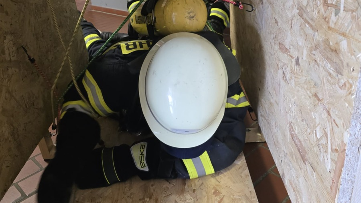 FW-WRN: Neue Atemschutzgeräteträgerinnen und -träger ausgebildet - Foto: presseportal.de